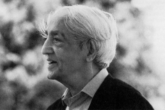 Krishnamurti.345191124_large