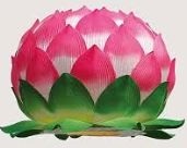 Lotus.337195621_large