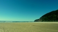 Manzanita_resize.337193355_large